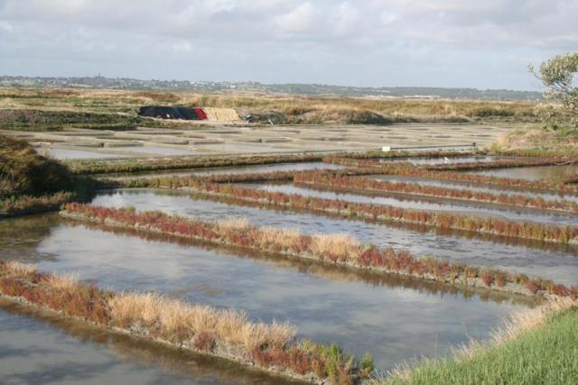 Les marais salants