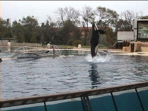 Marineland